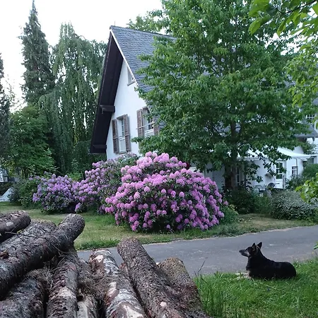 Im Mit Grossem Garten Und Parkplatz Homestay *