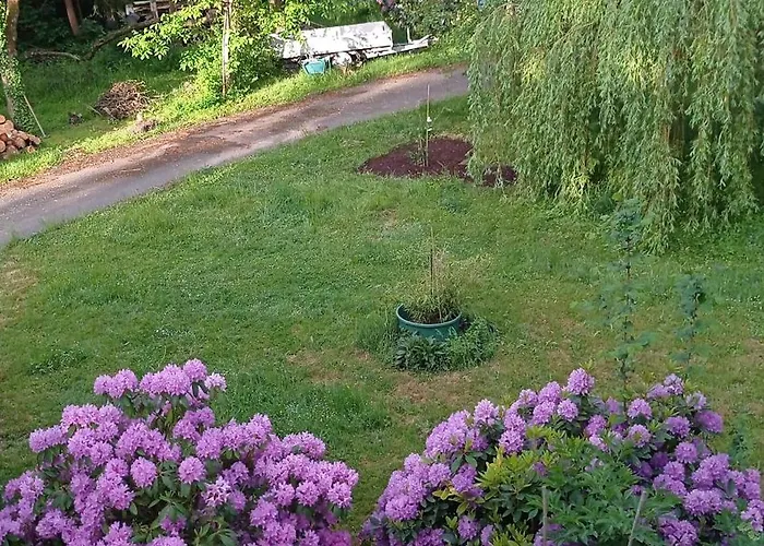 Im Mit Grossem Garten Und Parkplatz *