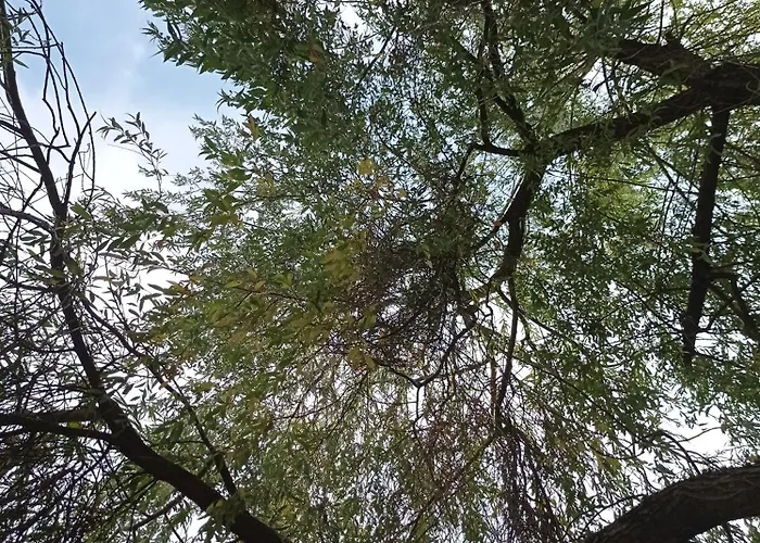 Im Mit Grossem Garten Und Parkplatz